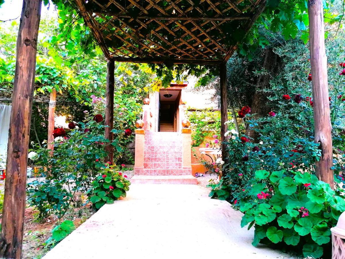 Riad Tazawa Ibrahene Exteriér fotografie